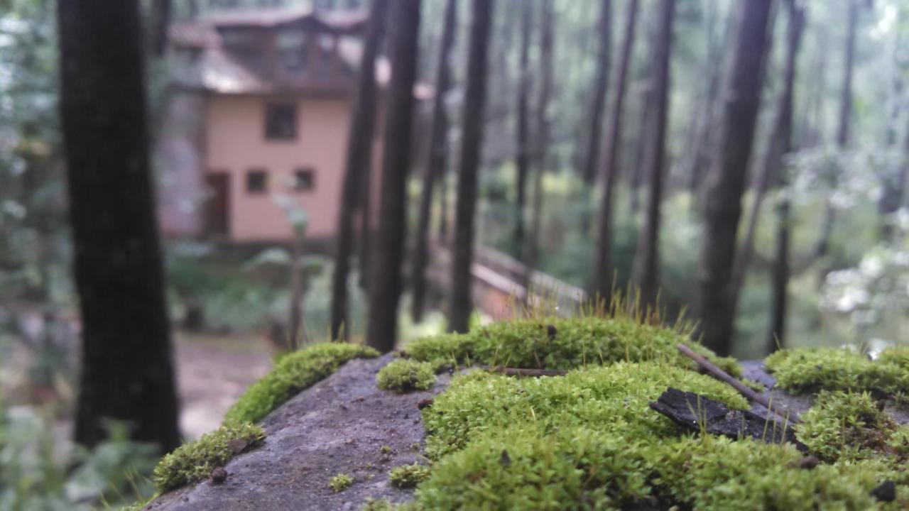 Cabaña rustica a 1km de cascada Mazamitla Exterior foto