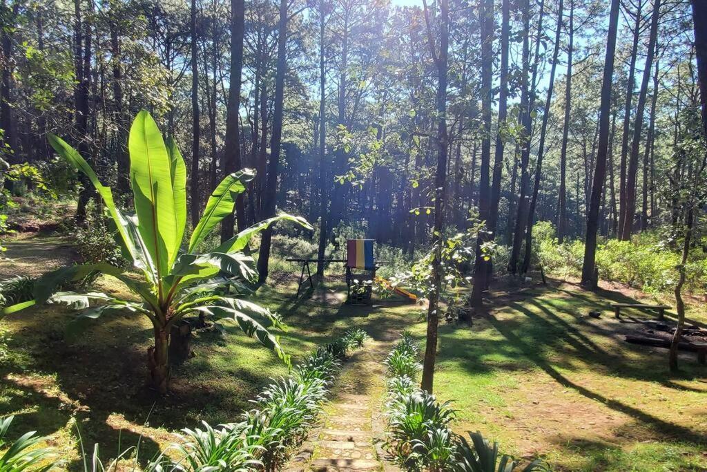 Cabaña rustica a 1km de cascada Mazamitla Exterior foto